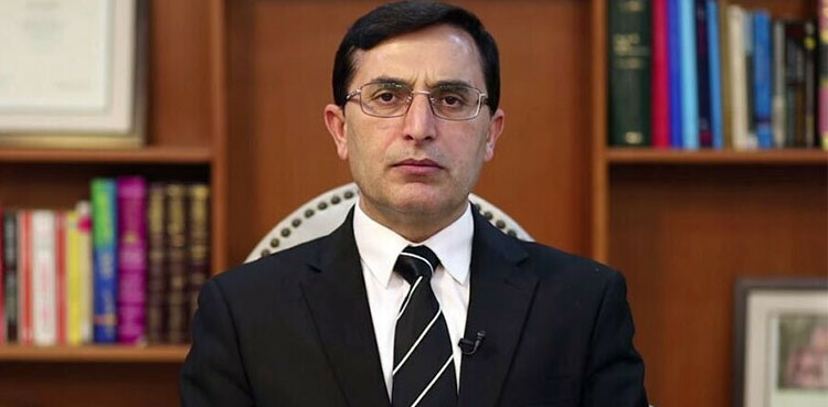 بیرسٹر گوہر