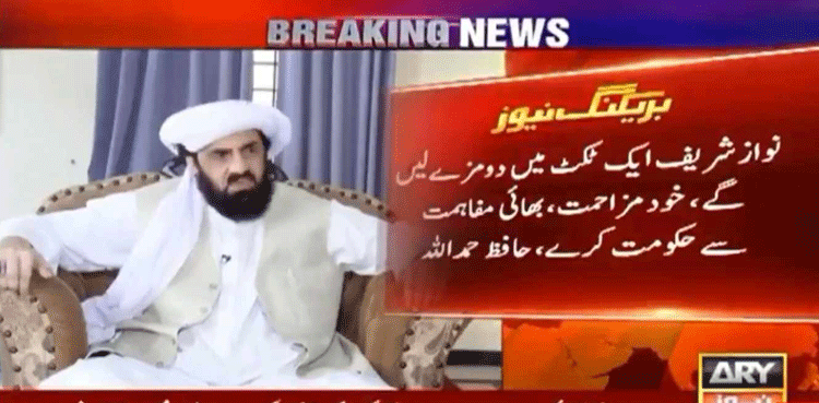 ‘نواز شریف ایک ٹکٹ میں دو مزے لیں گے، خود مزاحمت اور بھائی مفاہمت سے حکومت کرے’