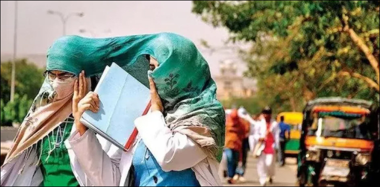 ہیٹ ویو نے بھارتی دارالحکومت کو بھون کر رکھ دیا