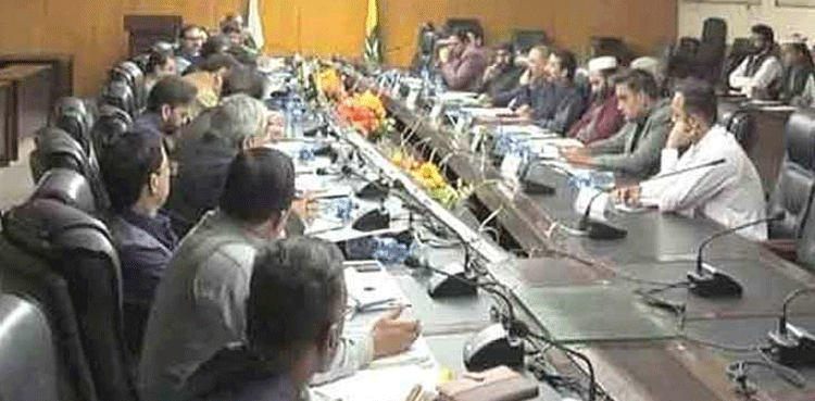 عوامی ایکشن کمیٹی