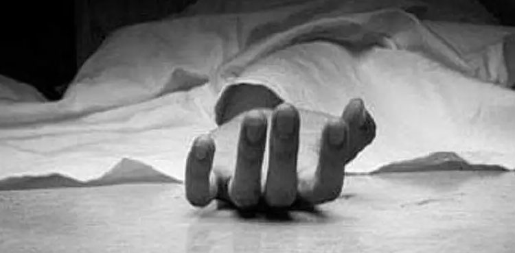 گھریلو ناچاقی پر بہو نے ساس کو قتل کردیا