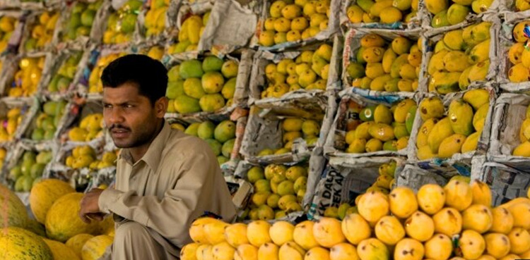 پھلوں کا بادشاہ ’آم‘ اب تک مارکیٹ میں کیوں نہیں آیا ؟