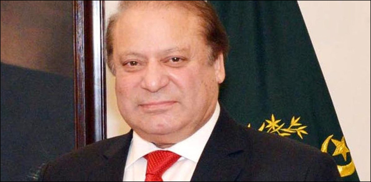 نواز شریف ن لیگ کے بلا مقابلہ صدر منتخب