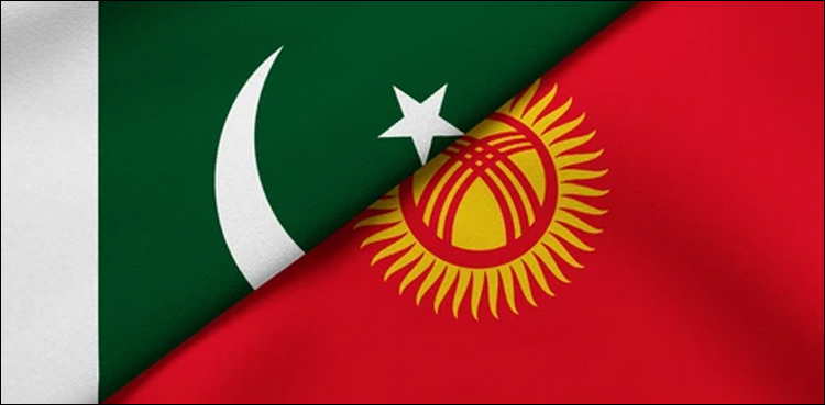وزیر خارجہ اسحاق ڈار کا دورہ کرغزستان کیوں منسوخ ہوا؟