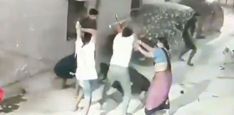 پالتو کتے