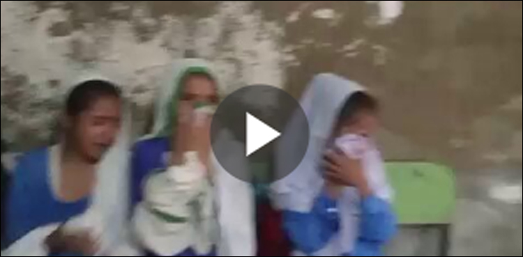 ویڈیو: کلاس روم میں پڑھائی کے دوران چھت کا پنکھا ٹیچر پر گر گیا