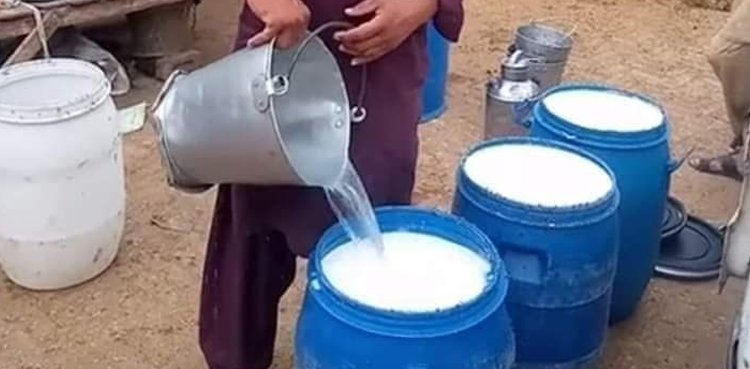 شوہر کے پانی ملا دودھ فروخت کرنے سے تنگ بیوی نے کیا کیا؟