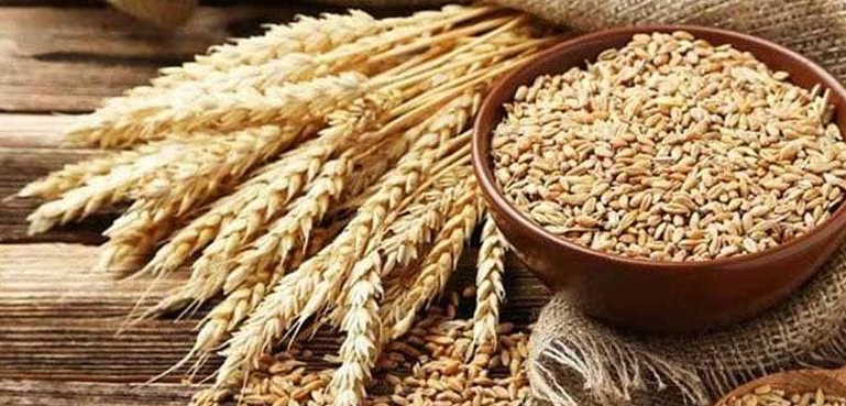 گندم اٹک سرکاری ریٹ گہائی