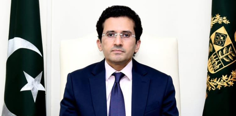 معیشت کی بہتری کیلیے 70 سال سے جو کام نہیں کیے اب کرنا ہوں گے، وزیر مملکت علی پرویز ملک
