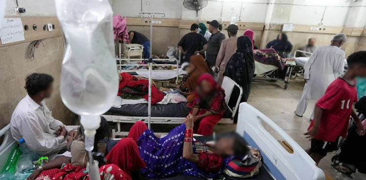 جون میں ہیٹ اسٹروک سے کتنے افراد جاں بحق ہوئے؟ محکمہ صحت نے بتادیا