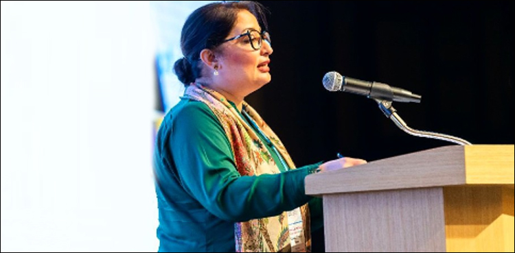 حکومت خواتین کو معاشرے میں اہم مقام دلانے کے لیے سنجیدہ کوششیں کر رہی ہے، رومینہ خورشید