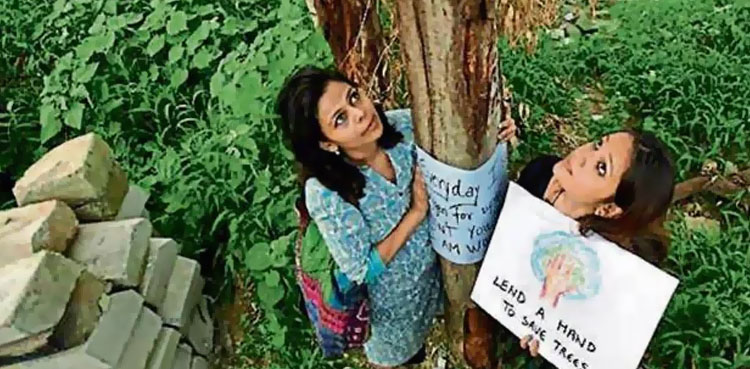 عوام کے احتجاج سے 29 ہزار درخت کٹنے سے بچ گئے