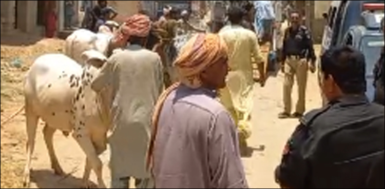2 کروڑ کے مویشی چھین کر فرار ہونے والے 6 ڈاکو گرفتار