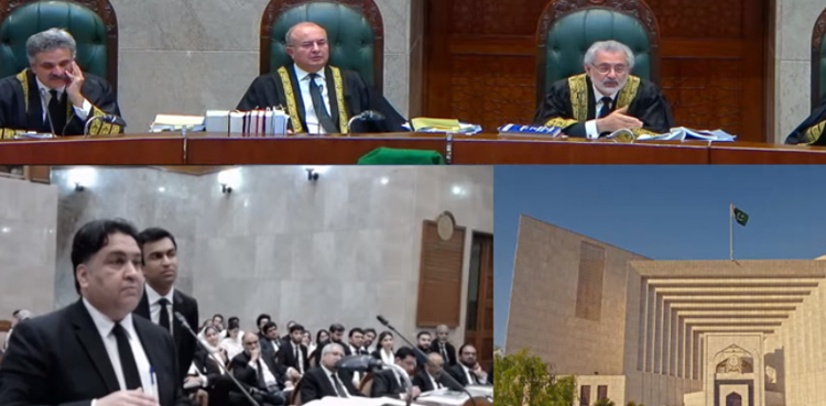 پی ٹی آئی نے  دوسری جماعت میں شمولیت اختیار کرکے خودکشی کیوں کی؟ چیف جسٹس کا استفسار