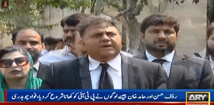 رؤف حسن اور حامد خان ٹائپ لوگوں نے پی ٹی آئی کو اندر سے کھانا شروع کردیا، فواد چوہدری