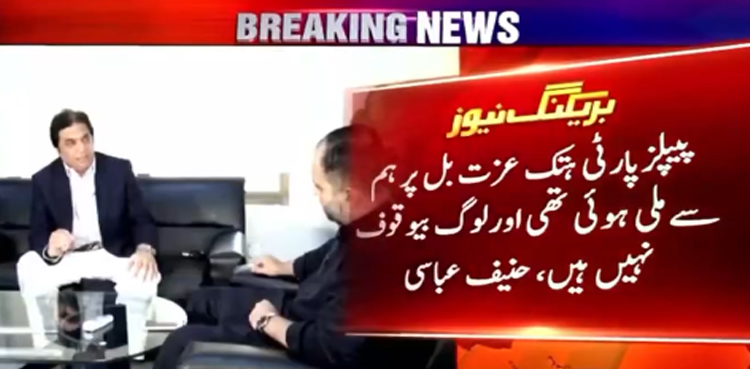 بجٹ پیپلزپارٹی کی مرضی سے تیار ہوا، حنیف عباسی