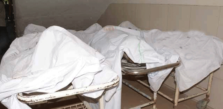 کوٹ ادو: پسند کی شادی کرنیوالے جوڑے کا غیرت کے نام پر قتل