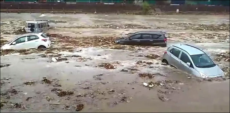 گنگا میں کاریں بہنے کی ویڈیو وائرل