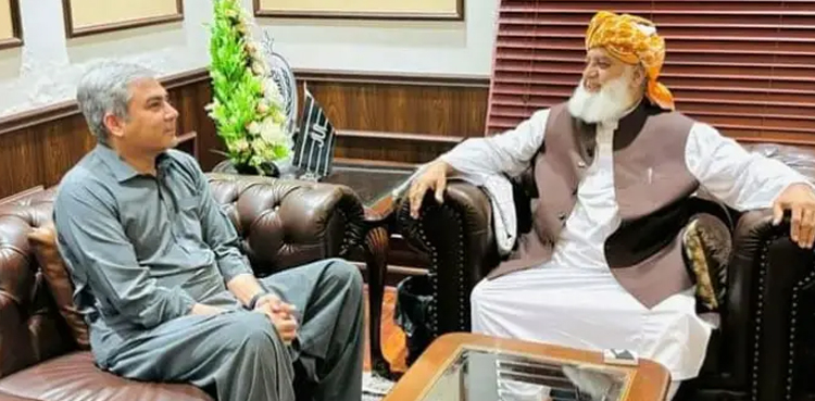 محسن نقوی کی مولانا فضل الرحمان  سے ملاقات ، نیک خواہشات کا اظہار