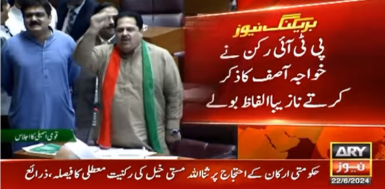 نازیبا ریمارکس دینے پر سنی اتحاد کونسل کے رکن قومی اسمبلی ثنا اللہ مستی خیل کی رکنیت معطل