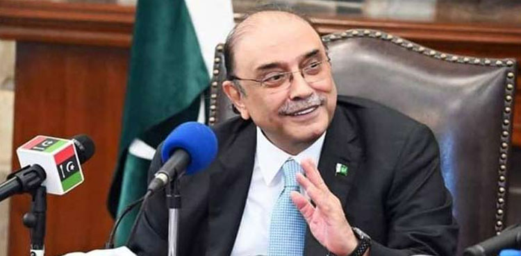 پارٹی کارکنوں کے کام نہیں ہورہے، پی پی رہنماؤں نے صدر سے شکایت کردی