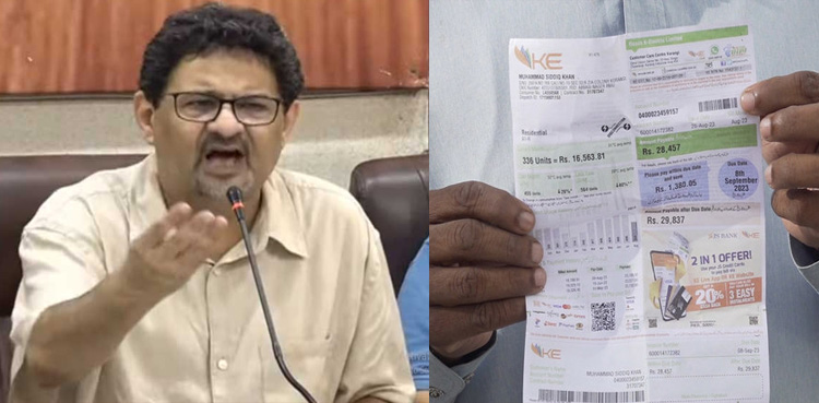 بجلی کیسے سستی کی جائے؟ مفتاح اسماعیل نے حکومت کو طریقہ بتا دیا