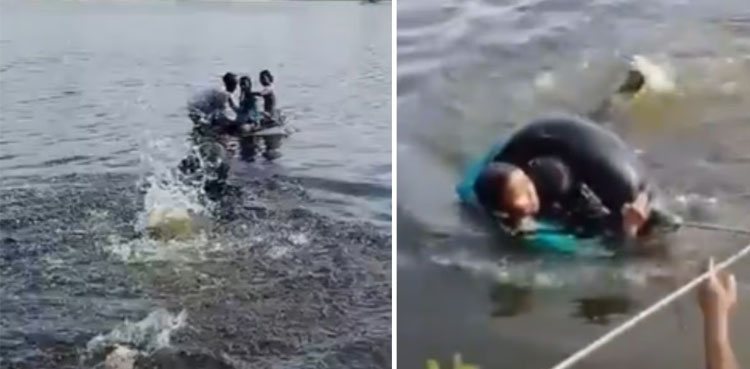 باپ نے 3 بچوں کے ہمراہ کار تالاب میں گرادی، حیران کُن وجہ؟