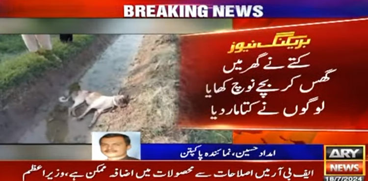 7 ماہ کا بچہ آوارہ کتے کے کاٹنے سے جاں بحق