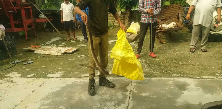 خطرناک سانپوں کی زندگی بچانے والے شخص کی انوکھی کہانی
