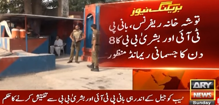 توشہ خانہ ریفرنس، بانی پی ٹی آئی اور بشریٰ بی بی کا 8 روزہ جسمانی ریمانڈ منظور