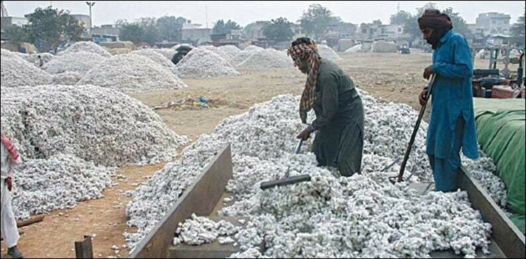 کاٹن جنرز نے ہڑتال ایک ماہ کے لیے مؤخر کرنے کا اعلان کر دیا