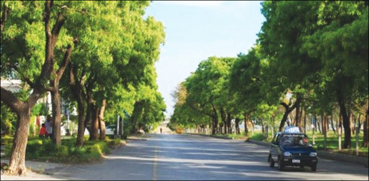 کراچی کے درخت کہاں گئے؟ ایک فکر انگیز ویڈیو رپورٹ