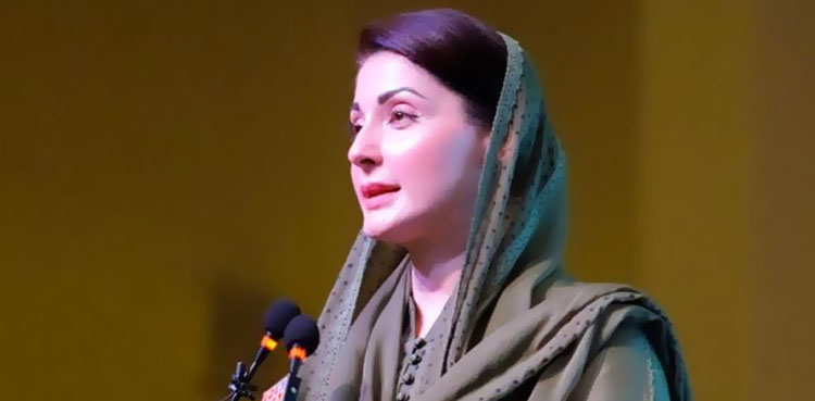 ایران، عراق جانے والے زائرین کو ہر ممکن سہولت فراہم کریں گے، مریم نواز