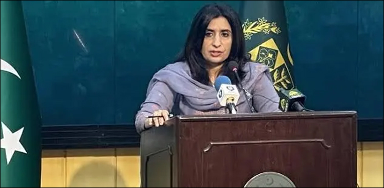 پاکستان نے بھارتی وزیر اعظم کے جارحانہ ریمارکس مسترد کر دیے