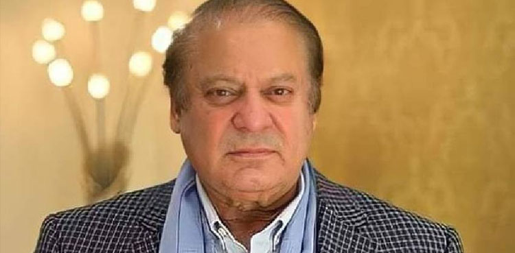 پاکستان واپس ترقی کے راستے پر چل پڑا ہے، نواز شریف