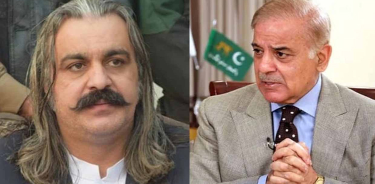 نیٹ ہائیڈرل پرافٹ