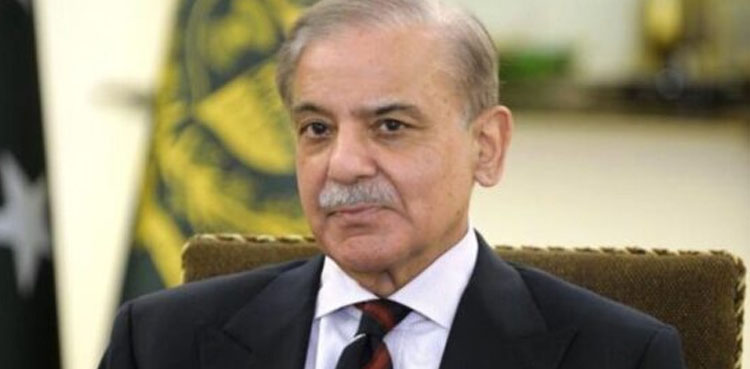 شہباز شریف کا فلسطینی طلبہ کو سرکاری اخراجات پر تعلیم دینے کا اعلان
