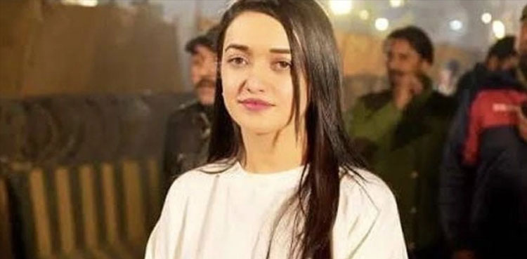 صنم جاوید اور ان کے شوہر کو گرفتار کرلیا گیا