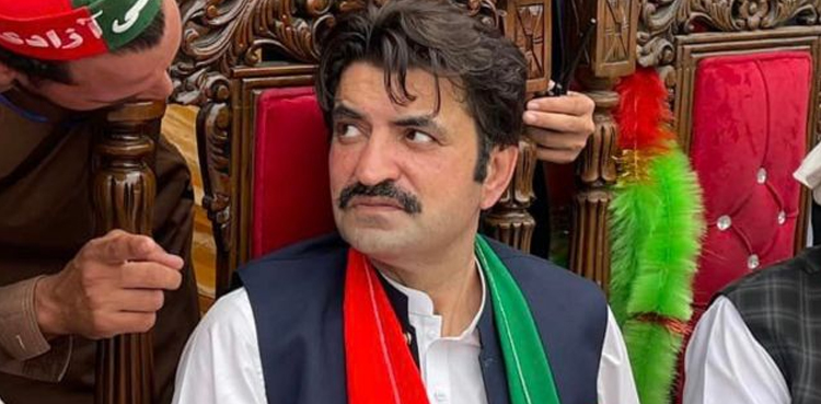 پی ٹی آئی کے بیشتر ارکان ’’شیر افضل مروت‘‘ کی پارٹی میں واپسی کے حامی