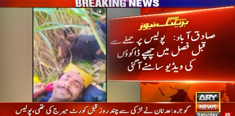 صادق آباد: پولیس پر حملے سے قبل فصل میں چھپے ڈاکوؤں کی ویڈیو سامنے آگئی