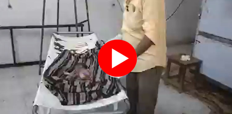 کتوں  نے سرکاری اسپتال میں نوزائیدہ بچے کو بھنبھوڑ ڈالا، دردناک ویڈیو