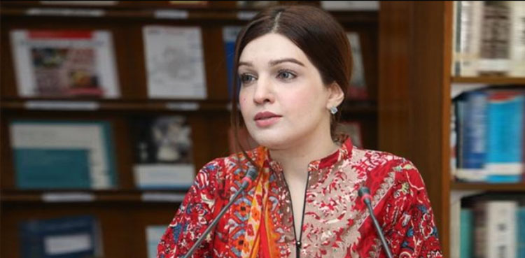 یوم استحصال کشمیر پر مشعال ملک کا اہم ویڈیو پیغام