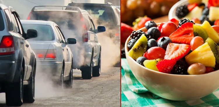 آلودگی کے اثرات سے بچنا ہے تو یہ استعمال کرنا شروع کردیں؟
