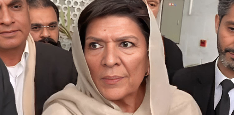 علیمہ خانم کو مذاکراتی عمل سے دور رکھا جائے، پی ٹی آئی قیادت سے درخواست