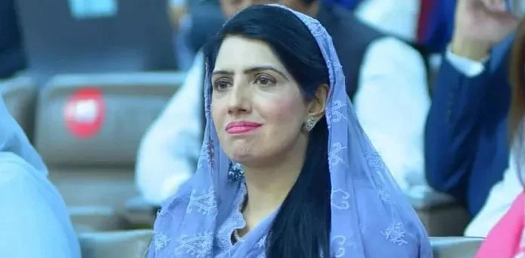عالیہ حمزہ کیخلاف درج مقدمات کی تفصیلات سامنے آگئیں
