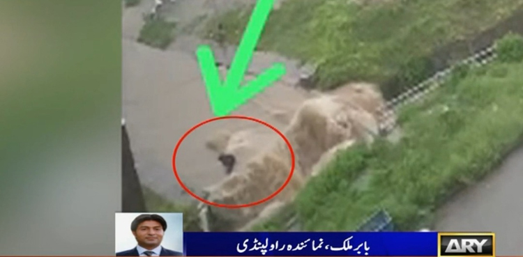 راولپنڈی :  لڑکی کی اسکوٹی سمیت برساتی نالے میں گرنے کی سی سی ٹی وی سامنے آگئی