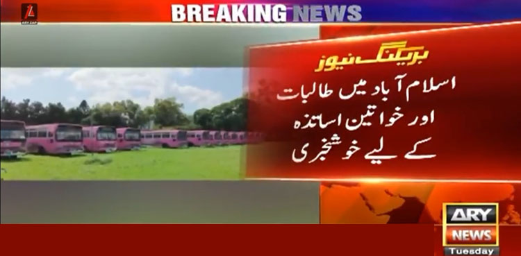 اسلام آباد پنک بسوں