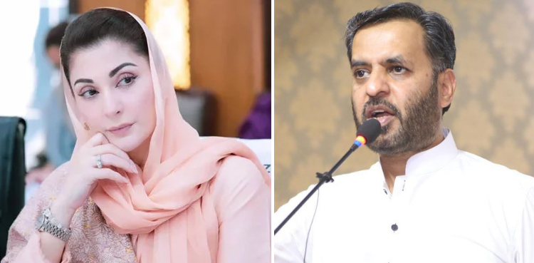 صرف پنجاب کیلیے بجلی سستی کرنے پر اعتراض، مریم نواز نے مصطفیٰ کمال کو جواب دے دیا