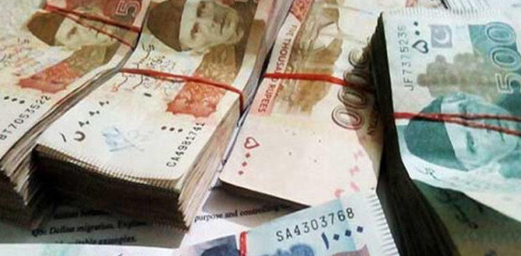بیٹے نے ماں کے 8 لاکھ روپے چرالئے