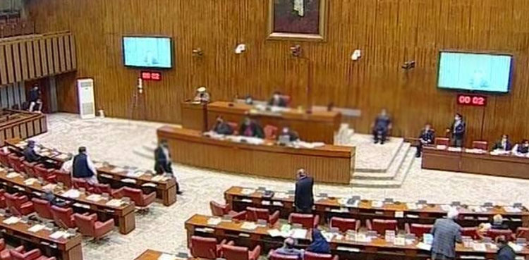 سینیٹ میں بھارت کے الزامات